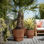 Elho greenville gemberbruin in de tuin